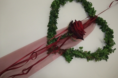 Ausstattung - Variante 3_10