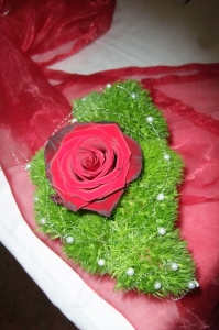 Ausstattung - Variante 3_16