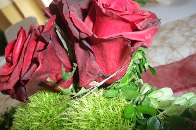 Ausstattung - Variante 3_22