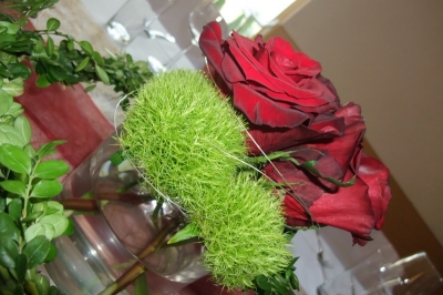 Ausstattung - Variante 3_23