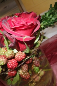 Ausstattung - Variante 3_8